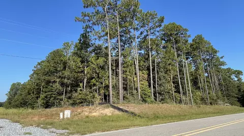 Highway 49, Wiggins, MS 39577 photo 6