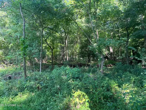 Church Hill Road, Fayette, MS 39069