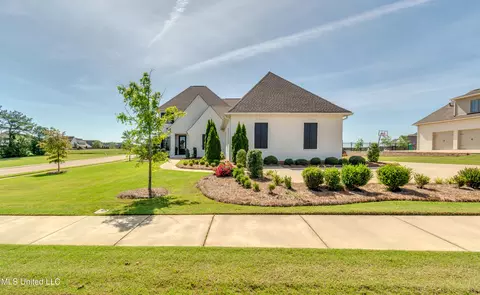 Exterior - 224 Reunion Dr, Madison, MS 39110 photo 16 of 19
