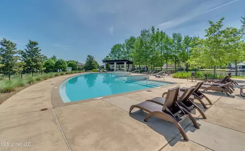 Exterior - 224 Reunion Dr, Madison, MS 39110 photo 15 of 19