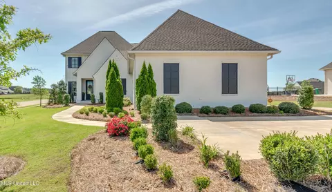 Exterior - 224 Reunion Dr, Madison, MS 39110 photo 2 of 19