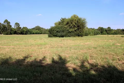 0 Smith Carr Rd, Canton, MS 39046 photo 9