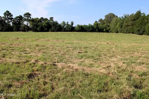 0 Smith Carr Rd, Canton, MS 39046 photo 8