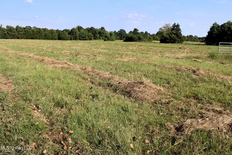 0 Smith Carr Rd, Canton, MS 39046 photo 3