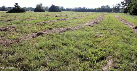 0 Smith Carr Rd, Canton, MS 39046 photo 6