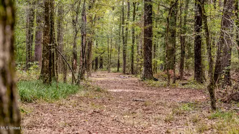 Old Hwy 51, Pickens, MS 39179