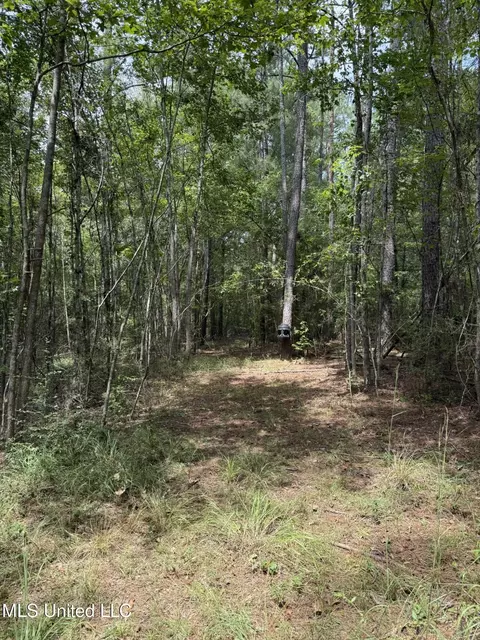 Daughdrill Road, Silver Creek, MS 39663 photo 28