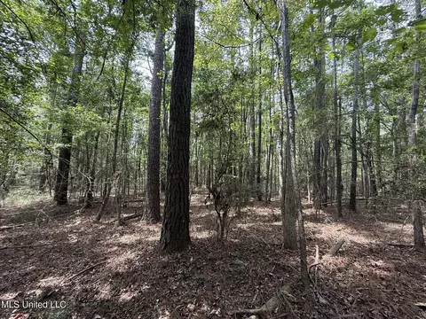 Daughdrill Road, Silver Creek, MS 39663 photo 23