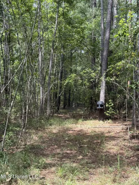 Daughdrill Road, Silver Creek, MS 39663 photo 8