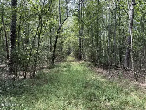 Daughdrill Road, Silver Creek, MS 39663 photo 27