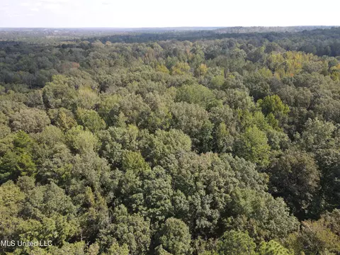 Daughdrill Road, Silver Creek, MS 39663 photo 3