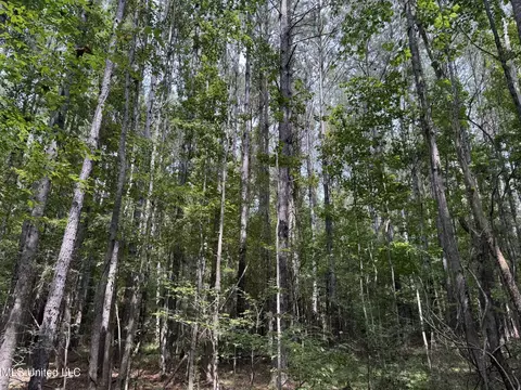 Daughdrill Road, Silver Creek, MS 39663 photo 63