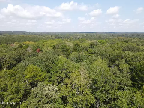 Daughdrill Road, Silver Creek, MS 39663 photo 20