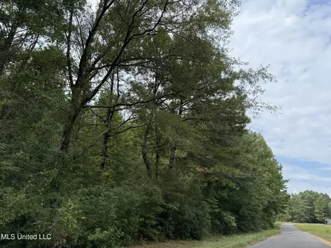 Daughdrill Road, Silver Creek, MS 39663 photo 70