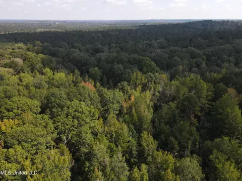 Daughdrill Road, Silver Creek, MS 39663 photo 19