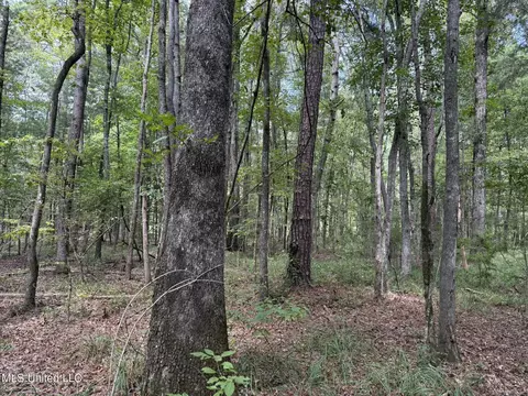 Daughdrill Road, Silver Creek, MS 39663 photo 51