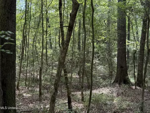 Daughdrill Road, Silver Creek, MS 39663 photo 26