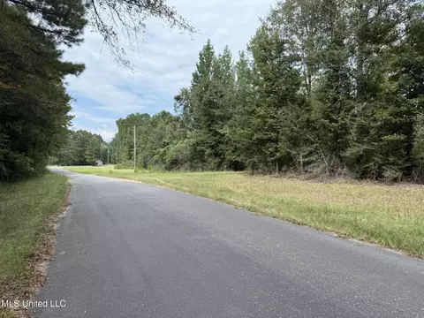 Daughdrill Road, Silver Creek, MS 39663 photo 68