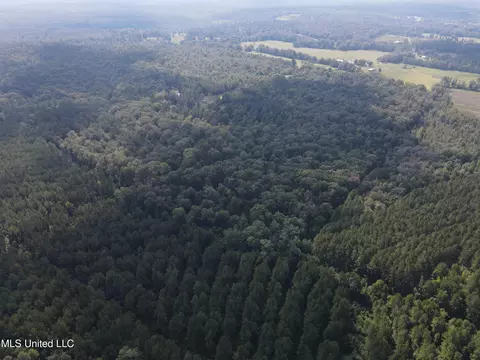 Daughdrill Road, Silver Creek, MS 39663 photo 17