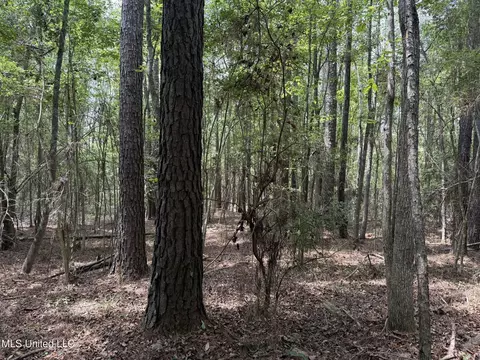 Daughdrill Road, Silver Creek, MS 39663 photo 5