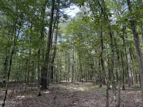 Daughdrill Road, Silver Creek, MS 39663 photo 48