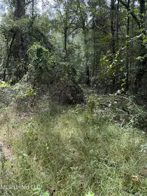 Daughdrill Road, Silver Creek, MS 39663 photo 30