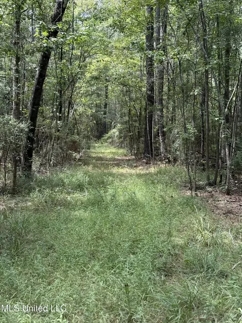 Daughdrill Road, Silver Creek, MS 39663 photo 7