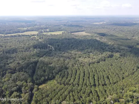 Daughdrill Road, Silver Creek, MS 39663