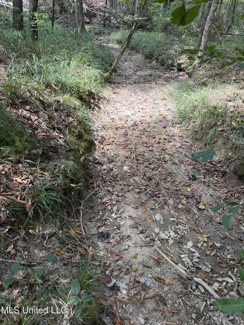 Daughdrill Road, Silver Creek, MS 39663 photo 50
