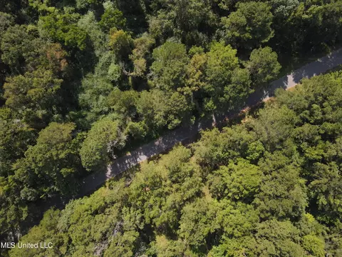Daughdrill Road, Silver Creek, MS 39663 photo 21