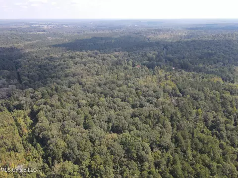 Daughdrill Road, Silver Creek, MS 39663 photo 18