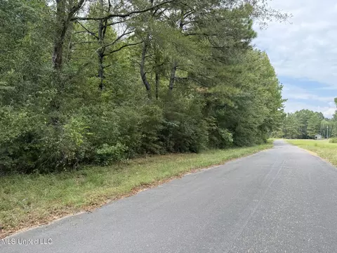 Daughdrill Road, Silver Creek, MS 39663 photo 69