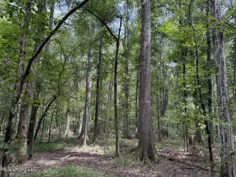 Daughdrill Road, Silver Creek, MS 39663 photo 45