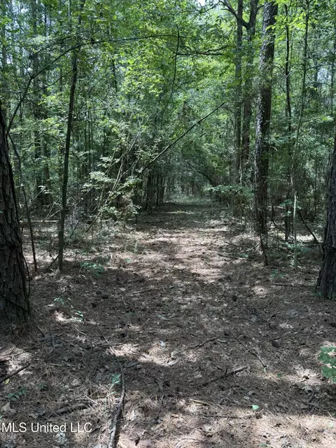 Daughdrill Road, Silver Creek, MS 39663 photo 22