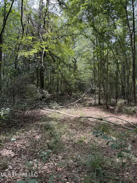 Daughdrill Road, Silver Creek, MS 39663 photo 29