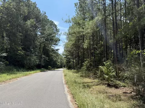 Daughdrill Road, Silver Creek, MS 39663 photo 2