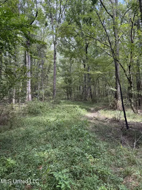 Daughdrill Road, Silver Creek, MS 39663 photo 12