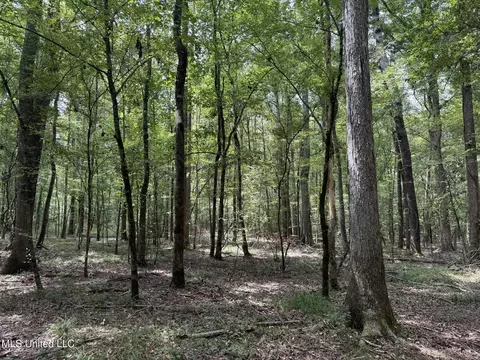 Daughdrill Road, Silver Creek, MS 39663 photo 37