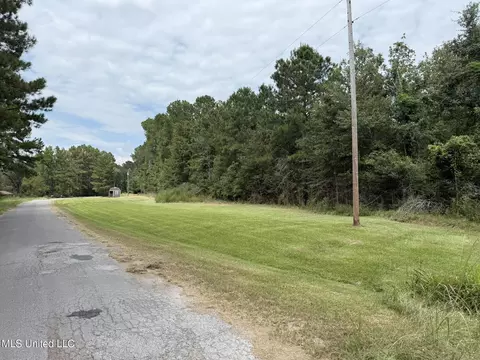 Daughdrill Road, Silver Creek, MS 39663 photo 71