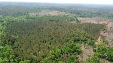 0 Highway 440, West, MS 39192 photo 35