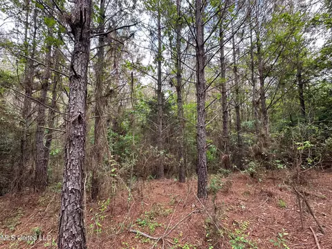 0 Highway 440, West, MS 39192 photo 26