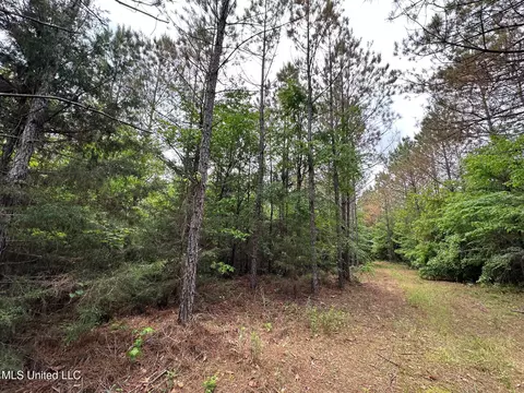 0 Highway 440, West, MS 39192 photo 22