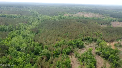 0 Highway 440, West, MS 39192 photo 34