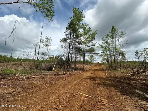 0 Highway 440, West, MS 39192 photo 14