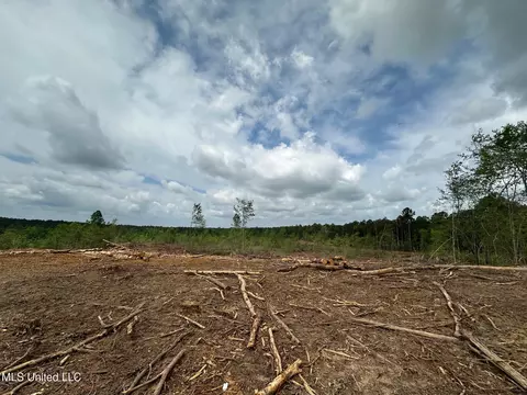 0 Highway 440, West, MS 39192 photo 3