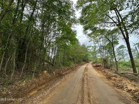 0 Highway 440, West, MS 39192 photo 18