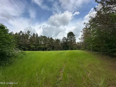 0 Highway 440, West, MS 39192 photo 25