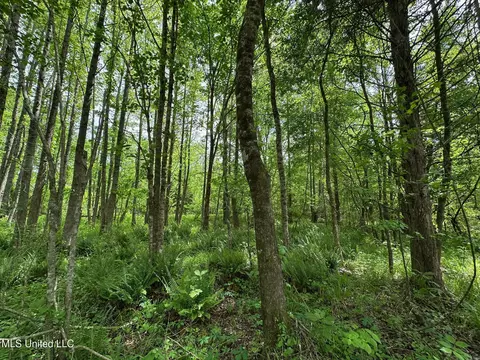 0 Highway 440, West, MS 39192 photo 13