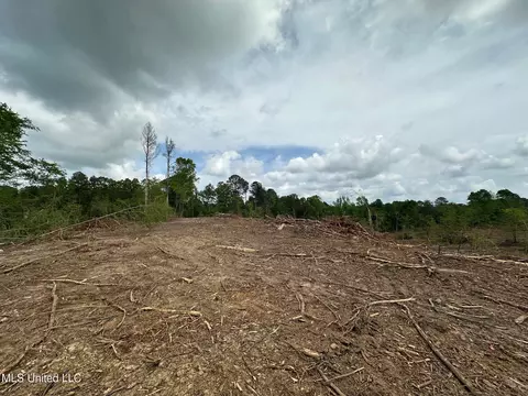 0 Highway 440, West, MS 39192 photo 2