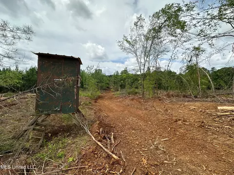 0 Highway 440, West, MS 39192 photo 8